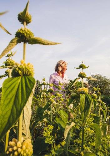Arends Maubach Gärtnerei 