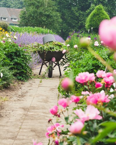 Schubkarre mit Blumenschnitt in der Arends Maubach Gärtnerei 