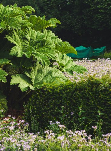 5-Maubach-6-13-0417-1