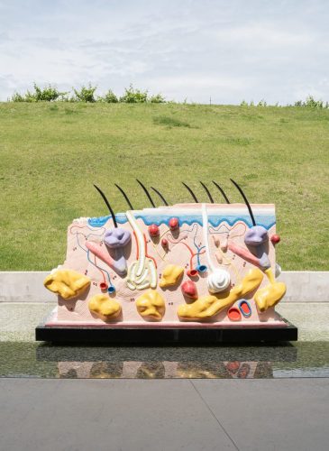 Chateau la Coste, Frankreich, Skulpur von Damian Hirst