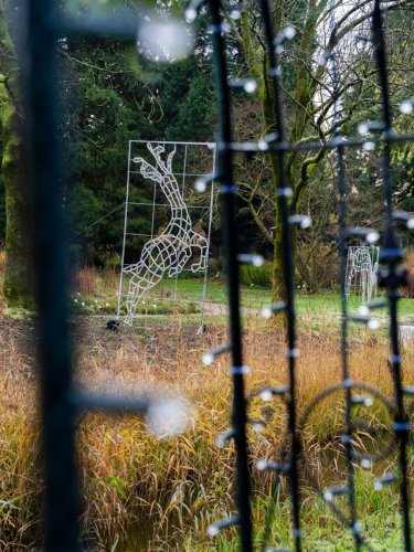 1Christmas-Garden-hell-11-23-3809-Kopie