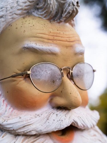 Christmas Garden lights