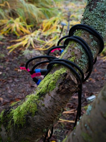 5Christmas-Garden-hell-11-23-3790-Kopie