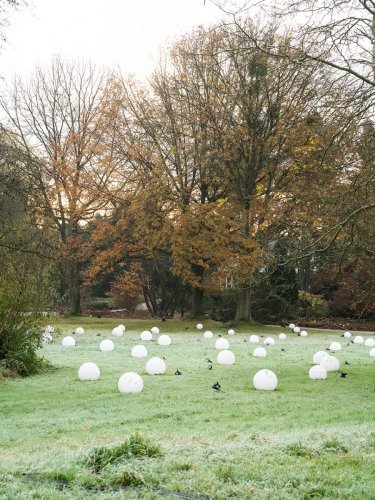 6Christmas-Garden-hell-11-23-3760-Kopie