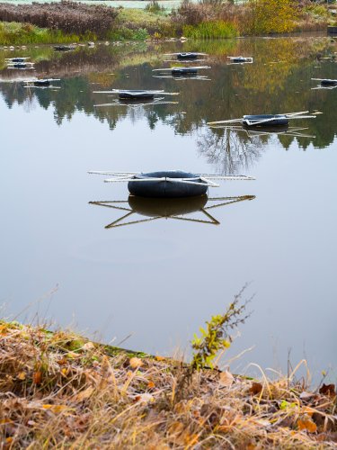 7Christmas-Garden-hell-11-23-3788-Kopie