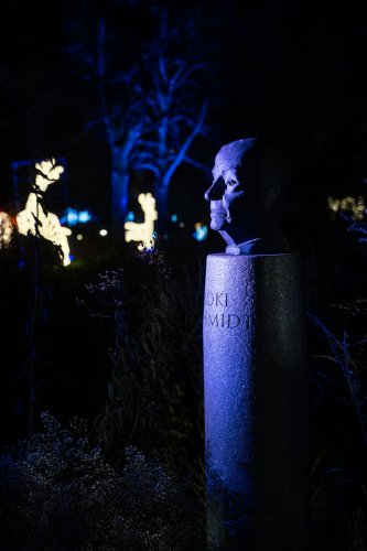 Christmas-Garden-lights-12-23-4527-Verbessert-RR