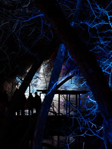 Christmas-Garden-lights-12-23-4604-Verbessert-RR-Kopie