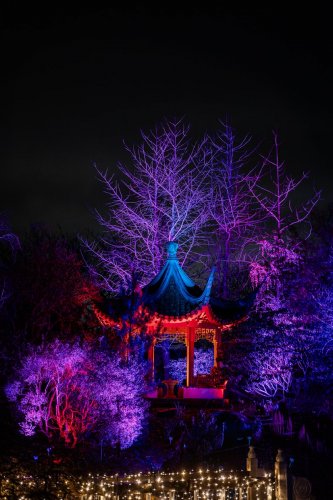 Christmas-Garden-lights-12-23-4732-Verbessert-RR-Kopie