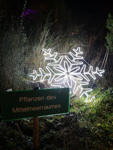 Christmas-Garden-lights-12-23-4906-Verbessert-RR-Kopie