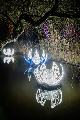 Christmas-Garden-lights-12-23-4998-Verbessert-RR-Kopie