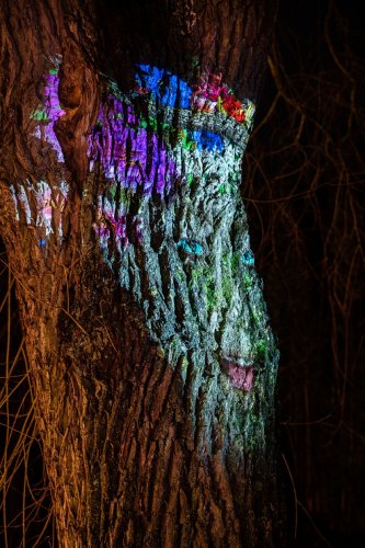 Christmas-Garden-lights-12-23-5032-Verbessert-RR-Kopie