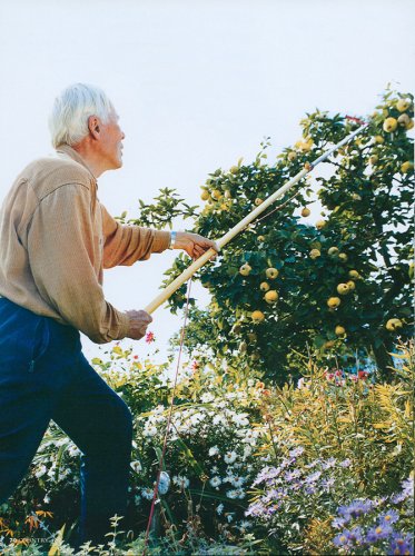 02 Dahlien Herr-Otto Garten Angela-Franke Fotografie