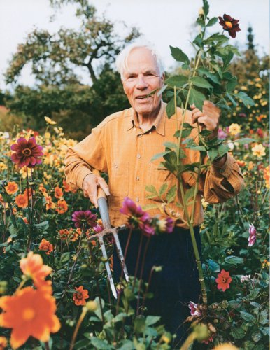 04 Dahlien Herr-Otto Garten Angela-Franke Fotografie