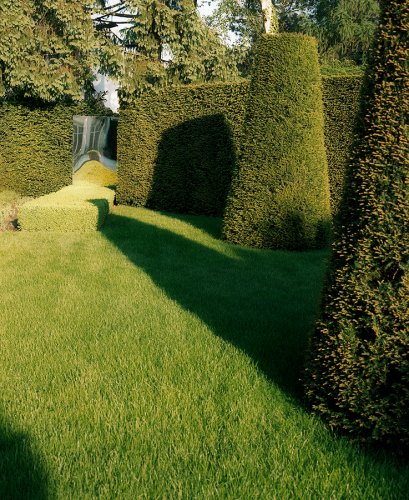 Gartendetail eines modernen Gartens mit Formschnittgehölzen und Spiegel