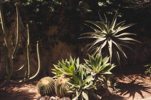 Gardens of Palazzo Parisio