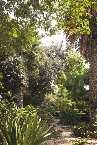 im Garten Palazzo Parisio auf Malta 