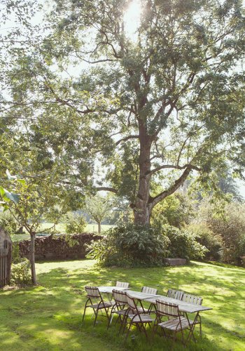 Ausschnitt eines weiträumigen Gartens im Fruehling, unter einem Baum