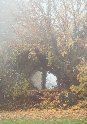 Ausschnitt eines Gartens im Herbst, Durchblick