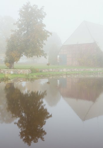 Ausschnitt eines Gartens im Herbst, Teich mit Spiegelungen