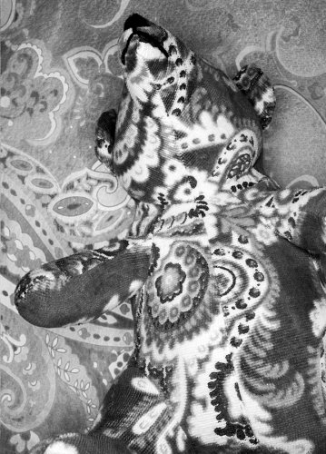 02 Stofftier Fotografie Angela Franke