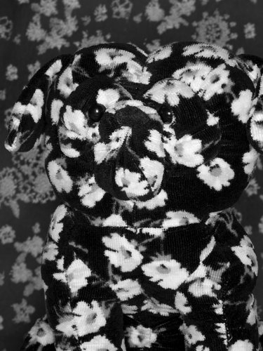 03 Stofftier Fotografie Angela Franke