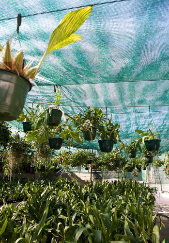 Orchideengarten Karge Fotos Angela Franke