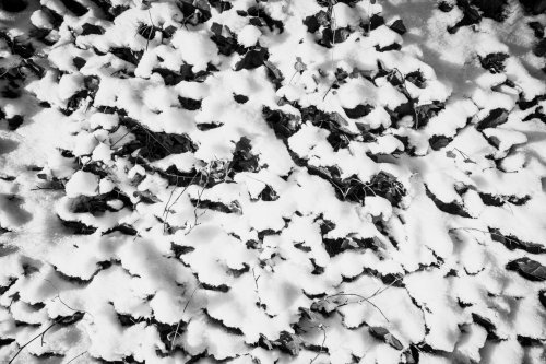 Roemischer Garten in Hamburg