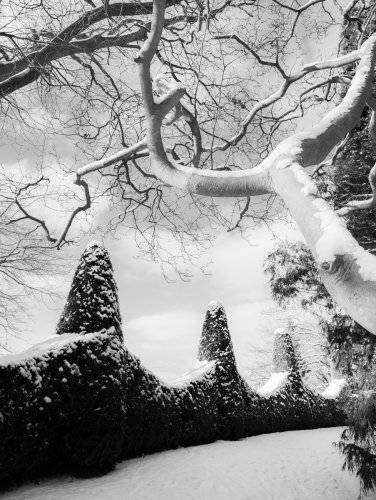 Roemischer Garten in Hamburg