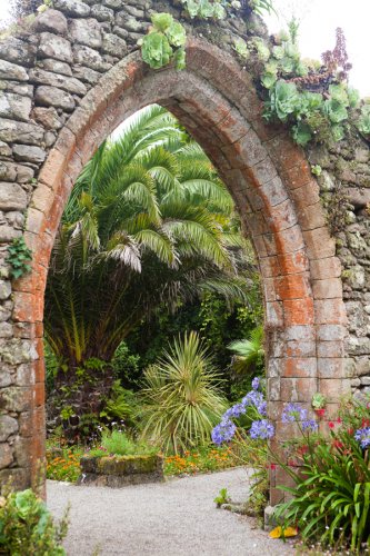 Gardenphotography Gardenportrait Tresco Abbey Garden Scilly Islands