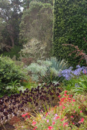 Tresco Abbey Garden