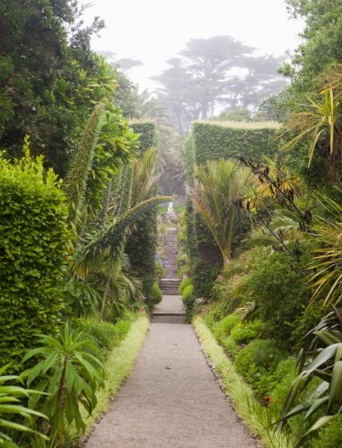 Gardenphotography Gardenportrait Tresco Abbey Garden Scilly Islands