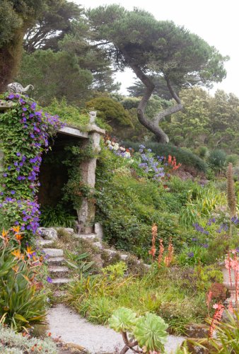 Gardenphotography Gardenportrait Tresco Abbey Garden Scilly Islands