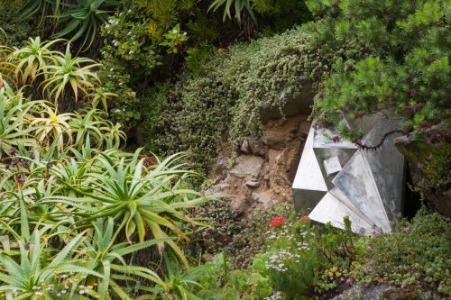 Gardenphotography Gardenportrait Tresco Abbey Garden Scilly Islands