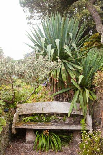 Gardenphotography Gardenportrait Tresco Abbey Garden Scilly Islands