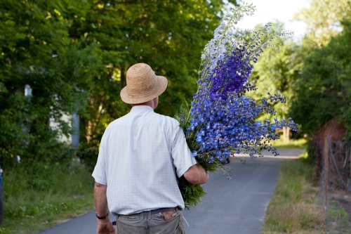 Rittersporn Garten Portrait Züchter Wolfgang Kautz mit Blumen