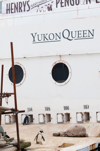 Zoo-Hannover-Angela Franke