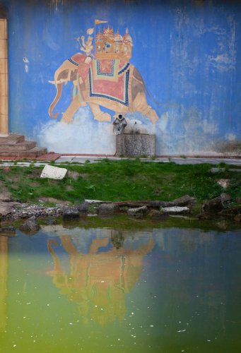 Zoo-Hannover-Angela Franke