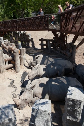 Zoo-Kopenhagen-Angela Franke