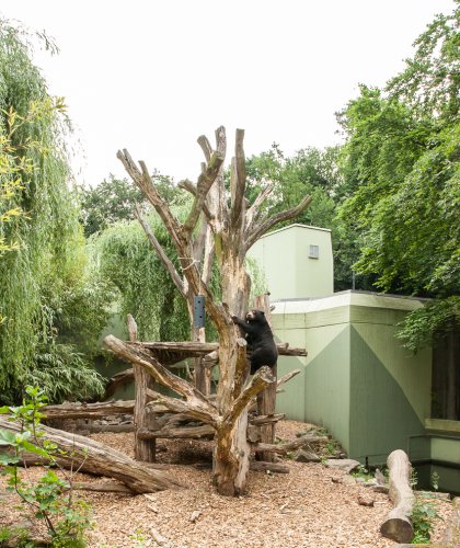 Zoo-Muenster-Angela Franke