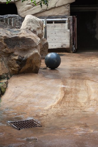 Zoo-Muenster-Angela Franke