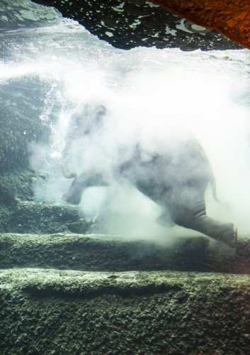 Zoo-Zuerich-Angela Franke