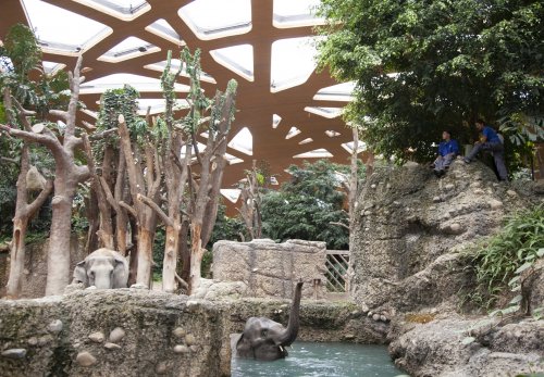 Zoo-Zuerich-Angela Franke