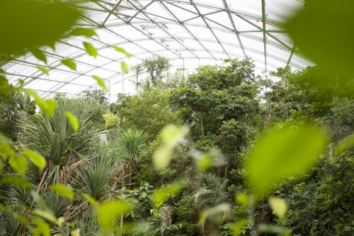 Zoo-Zuerich-Angela Franke