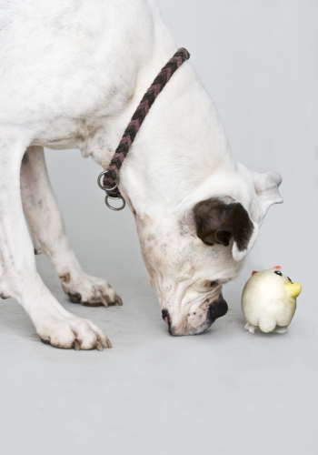 Bildschirmfoto-2024-02-21-um-12.30.29