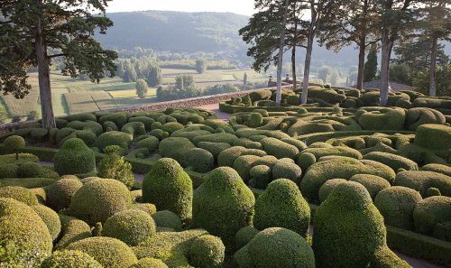 jardin de Marqueyssac, geschnittene Buchshecken, Panoramablick