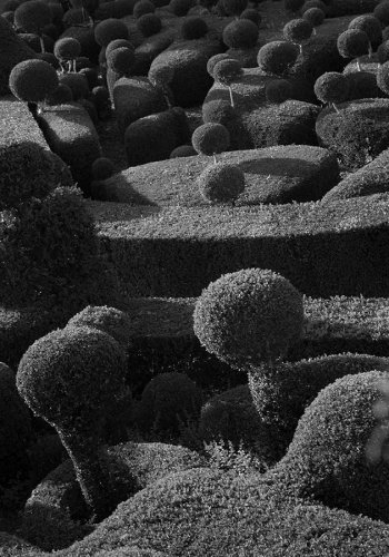 Gärten von Marqueyssac, Buchsbaumschnitt