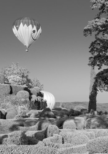 jardins de Marqueyssac, geschnittene Buchshecken mit Ballons im Hintergrund