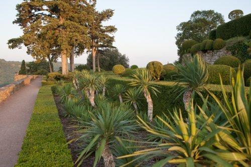 Gärten von Marqueyssac, geschnittene Buchshecken und Jukka Palmen