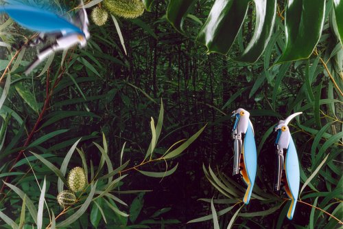 Studioaufnahme von Korkenziehern als Papageien inszeniert, collagiert mit dem Foto eines Urwalds