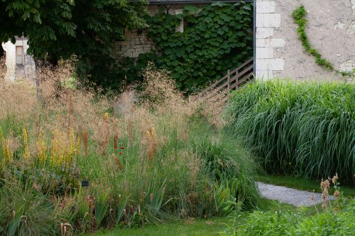 Gräser im Garten des Chateau du Riveau - "jardin remarquable"